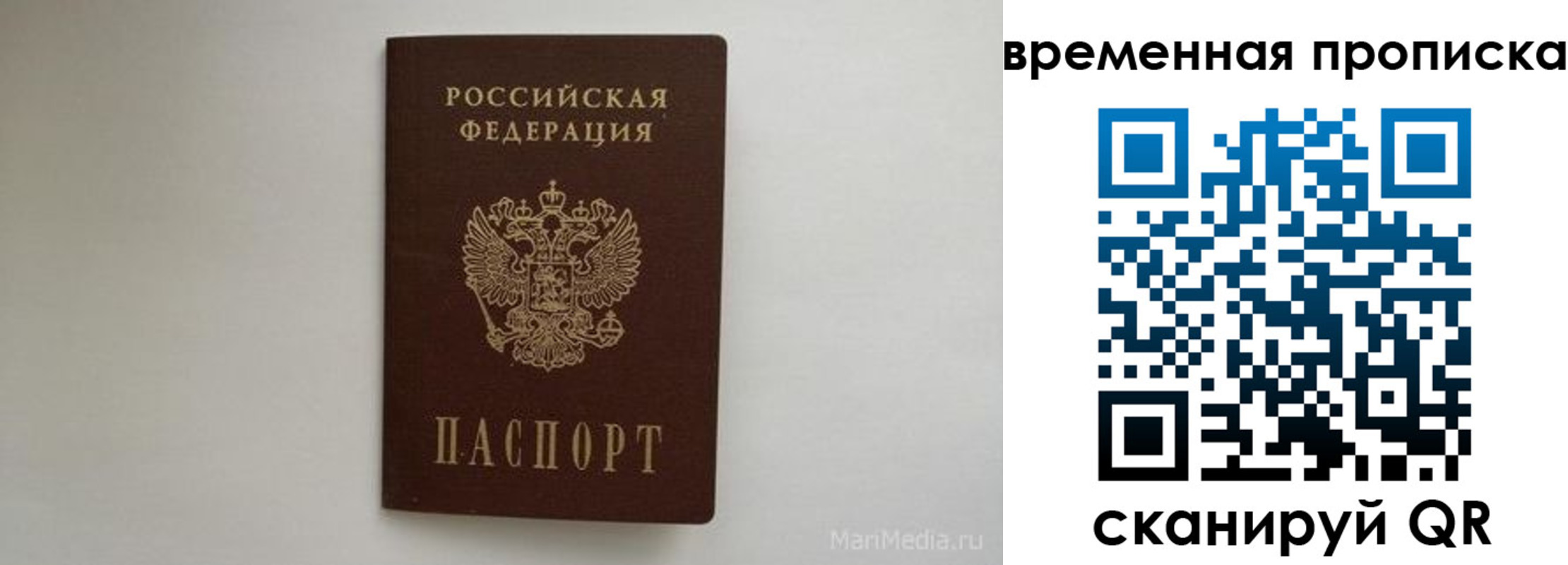 регистрация в Светогорске